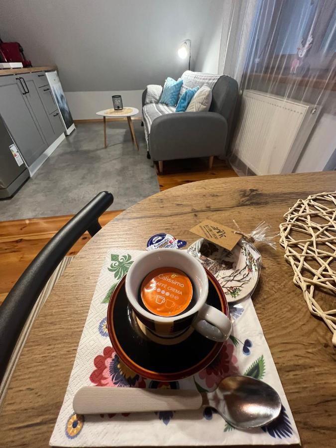 Appartement Przy Stoku I Potoku à Wisła Extérieur photo