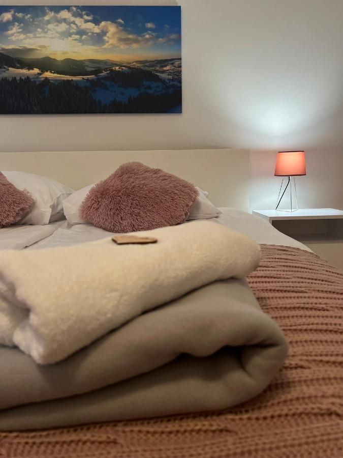 Appartement Przy Stoku I Potoku à Wisła Extérieur photo