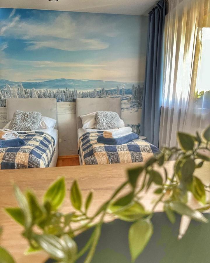 Appartement Przy Stoku I Potoku à Wisła Extérieur photo